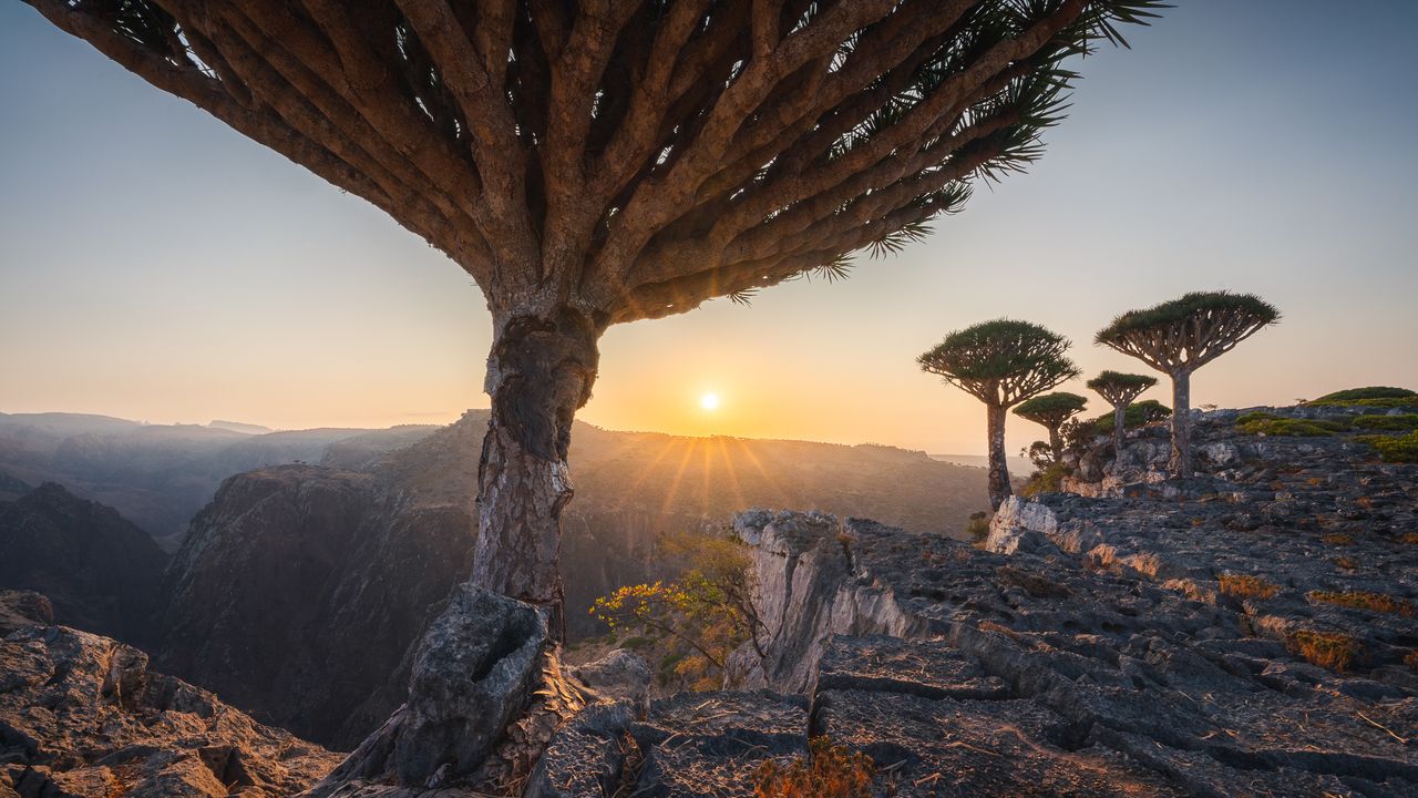 Socotra Remains the World’s Most Beautiful Challenge | GQ Middle East