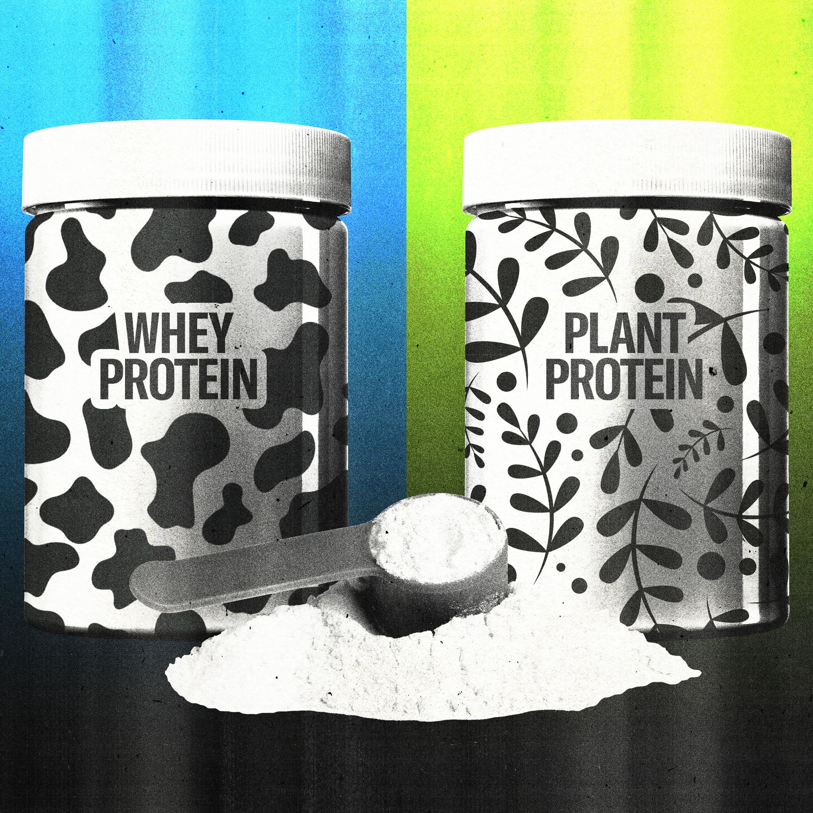 Which Type of Protein Powder Has the Least Lead?