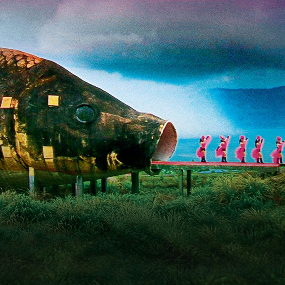 The Documentaries We Can’t Stop Watching