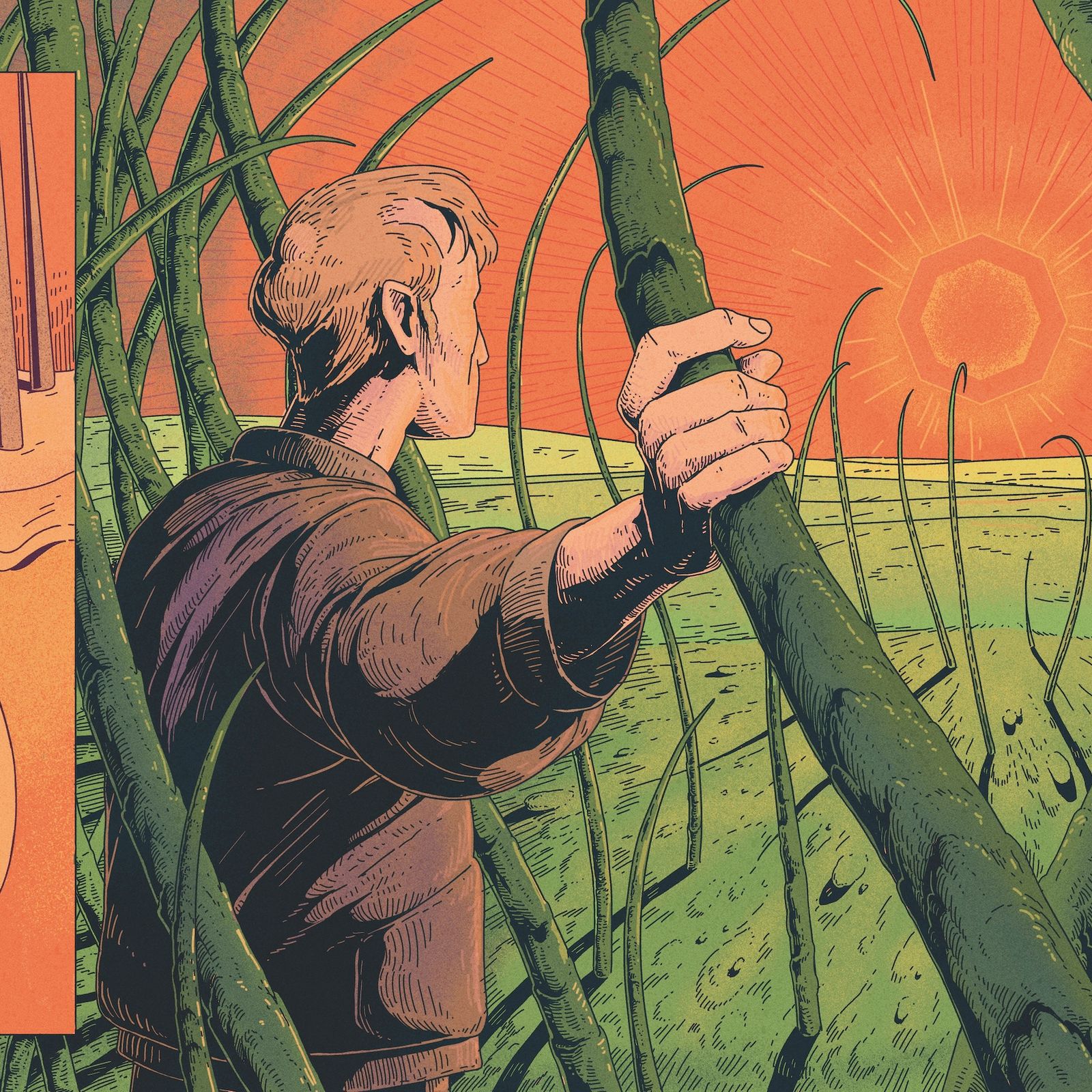 A Finasteride Nightmare: Inside the Dark Side of the Hair-Loss Drug