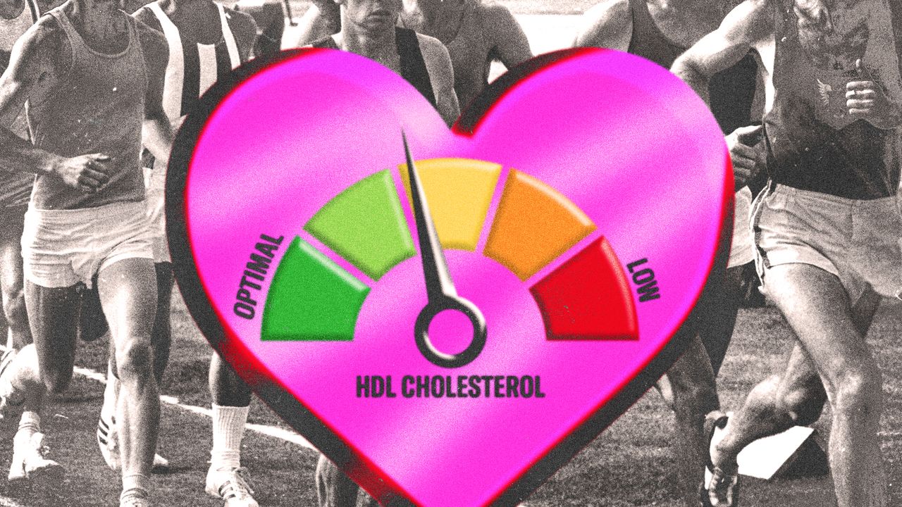 What Is HDL Cholesterol and How Do You Raise It?