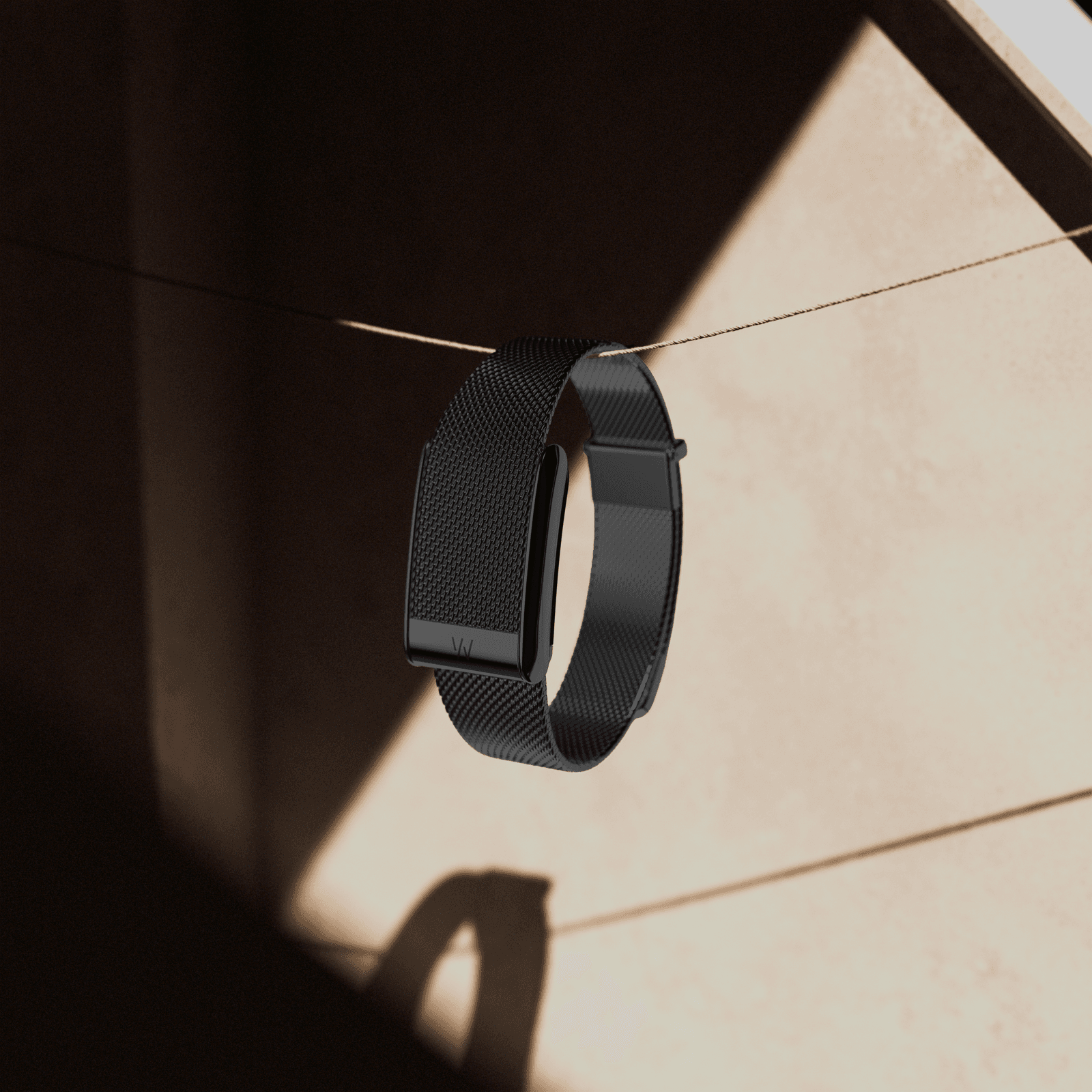 With the Meridian, Whoop Enters its Jewellery Era