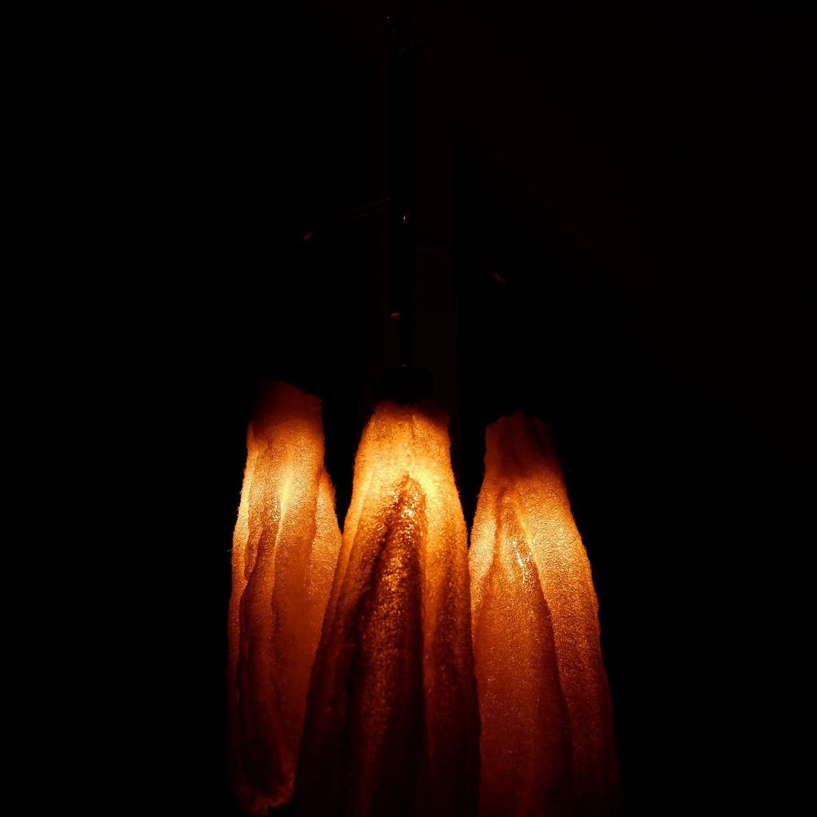 Noor Taan on the Loofah, Material and Memory
